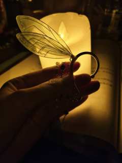 【含剧透】
朝菌不知晦溯,蟪蛄不知春秋
体验角色:蜂
体验