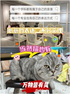 🍁综合体验7.8分🍁

📚弁言📚
1️⃣以上评分是综