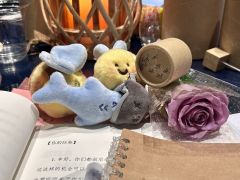 “影子在左,影子在右。”✨
“影子是你,影子永远在我身后。”