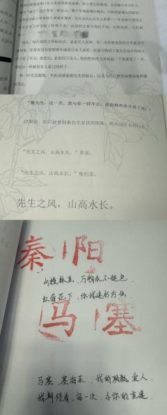 山楂林|先生,这一次我们能并肩而立了吗
剧本:永不褪色的山楂