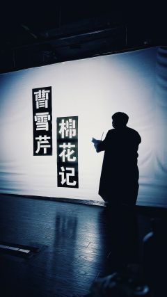 棉花记魂游太虚 曹雪芹雾中寻影
少不读水浒,老不看三国,自
