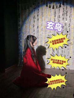 玄鸟还是打了,这本作为南墙同一个发行所出的作品,说实话有点走