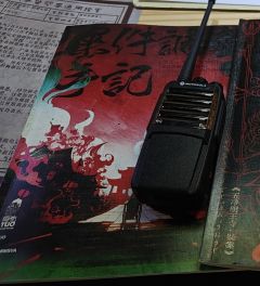 《五净明王寺·疑案》｜期望越高，失望越大

♨️前言：
作为