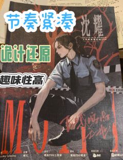 诡计流还原，有少量设定，节奏紧凑，趣味性高。绝大多数是公共视