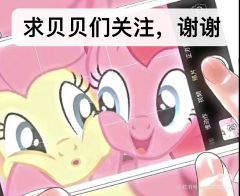 选