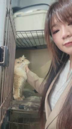 ❗无剧透全角度测评灰烬新本！关键词【合格但不精彩】【吃玩家】