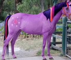 嗯，还是我家云宝最好看