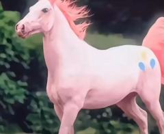 嗯，还是我家云宝最好看