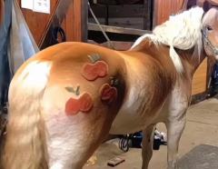 嗯，还是我家云宝最好看