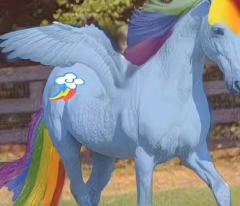 嗯，还是我家云宝最好看