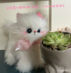 “魏子期,爱一个人能爱多久?”
晴鸢,你的模样我看了两千年