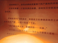 【含剧透】
游戏时长:8.5小时
剧本序数:NO.590