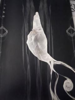 酷！帅！燃！ 真的非常顶

📖剧本类型：阵营 机制 还原 