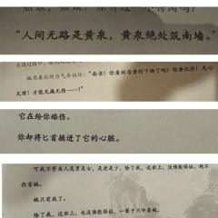 【含剧透】
【人间无路是黄泉,黄泉绝处筑南墙】
【两岸猿声