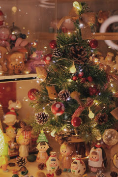 🎄🎄🎄不知不觉又到圣诞了