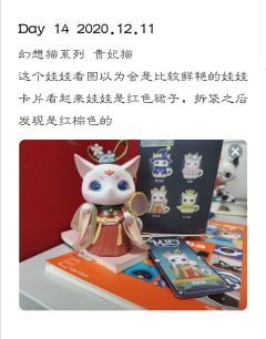Day 14 2020.12.11 
幻想猫系列 贵妃猫
这