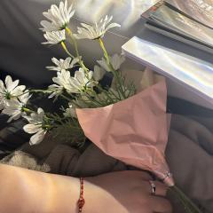 【含剧透】

《雪国》-松风绿
DM：尼克
NPC：荦荦、肆