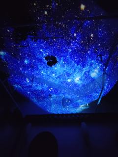 “游隼不离,愿雨燕不弃。”
体验角色:任鸣
以满分10分为评