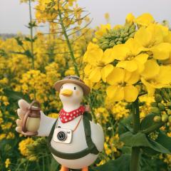    外面的景色这么好，出门时一定不要忘记带着这些小可爱吖�