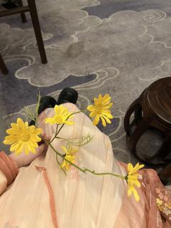 【含剧透】

【论7刷寒门本来扎🔪计划】最后惨遭滑铁卢之全