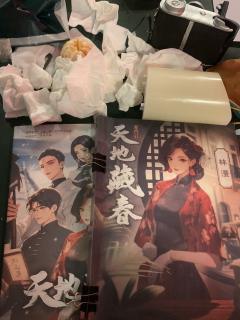 《天地藏春》林漫视角感受
类型:民国/家国/演绎/沉浸
我的
