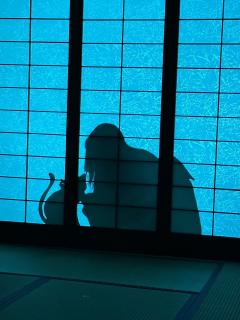 ⛩️西园寺家族不可告人的秘密~
密室+还原+演绎的呈现,yy