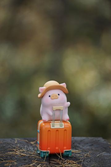 带上猪猪去看大草原～🐷