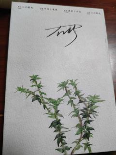 体验剧本—暮色四合
体验角色—石杉
体验店家—JoJo推演社