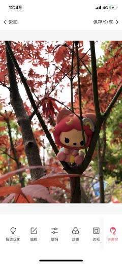 枫树上的彩虹桃
先将阿狸摆放上树(这一点其实比较随机,找一个