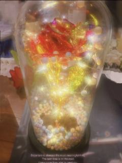 剧本:我的冰箱会跳皮筋🧊
角色:何恩非
店铺:子涵奇遇
d