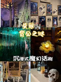 莫恩古堡·赏金之谜 探索奥丁之眼奇幻故事
背景故事:曾依赖