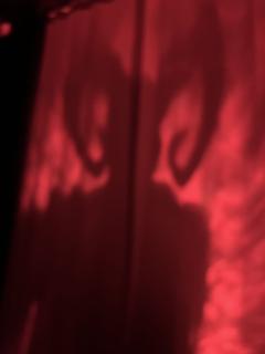 你相信命运吗?你愿意接受你的亲人爱的不是人类吗你?你愿意无限