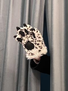 你相信命运吗?你愿意接受你的亲人爱的不是人类吗你?你愿意无限