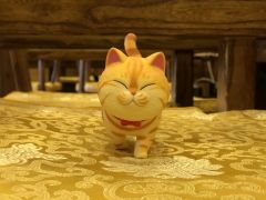 🐈一只🐾喜欢🐾到处溜达🐾的喵星人🐾🐾🐾🐾