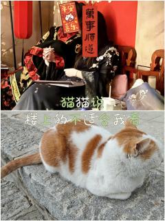 🍁综合体验6.5分🍁

📚弁言📚
1️⃣以上评分是综