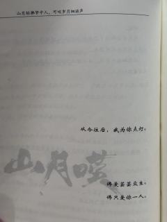 “若要飞蛾扑火，那便飞蛾扑火”

角色：薛焱
时长：8.5H