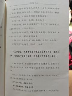 【含剧透】
✨我们生生世世，不死，不休✨

📍店家：竹里
