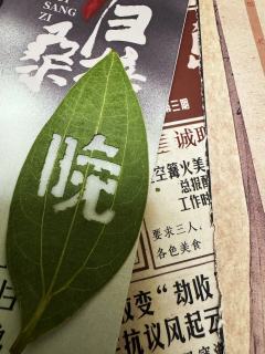 桑梓之地，父母之邦。

七十二海里，四十年风雨。

阻断了归