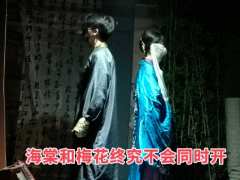 体验剧本:《元嘉》
体验角色:崔燕
体验店家:UMI沉浸式剧