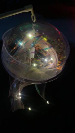 没人知道这条路要走多远,但是月亮会指引人们归家。只要群月还在