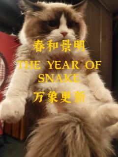“寒风推窗,霜花落满框缝,
檀桌上的烛火伴着月光轻轻摇曳,