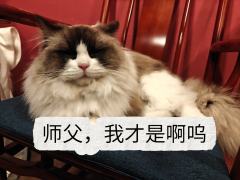 “寒风推窗,霜花落满框缝,
檀桌上的烛火伴着月光轻轻摇曳,
