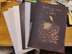 “游隼不离,愿雨燕不弃。”
体验角色:任鸣
以满分10分为评