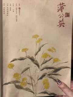 🫘(时隔整整一年)红豆2——小佳版
➰类型:情感 沉浸 亲