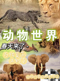 “猎手往往以猎物的身份出现,而你眼中的捕食者也可能成为别人眼