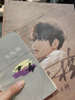 很可惜,这次我们明明已经爬上了山顶,却没能看到日出。光影从指