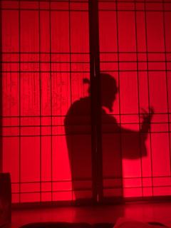 剧本名：请让我吃掉你的一切——别名“老公再打我一次”
人数：