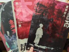 剧本名：请让我吃掉你的一切——别名“老公再打我一次”
人数：