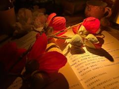 体验角色:金雅梅
时长:7.5h
《归途》真的仙品!打之前