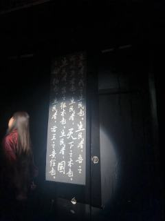你渡，我渡，争渡，难渡。
飞鸟和鱼相爱，只是一场意外。

店